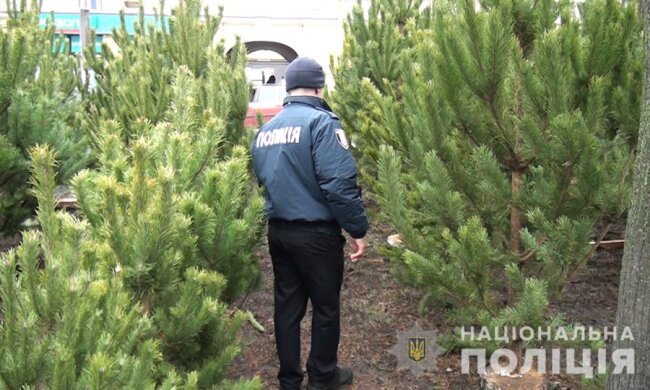 В столиці виявили 71 нелегальний ялинковий ринок