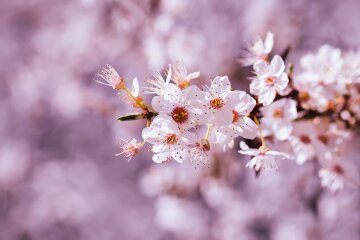 Якою буде погода на Великдень