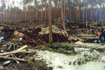 Уряд оголосив війну чорним бурштинокопачам