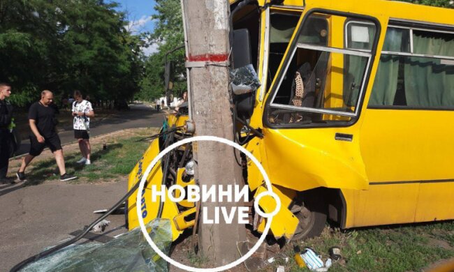 На Воскресенці маршрутка врізалася в стовп