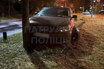 У Києві нетвереза водійка влетіла у дерево, втікаючи від поліції