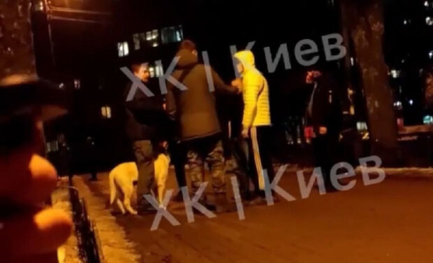 У Києві п’яна компанія побила ветерана АТО та його собаку (відео)
