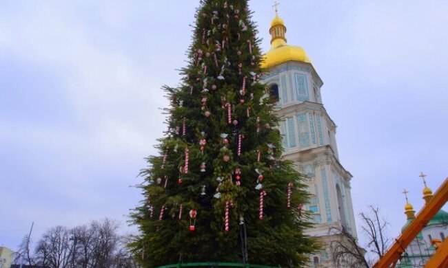 Головну ялинку Києва прикрасили величезними цукерками (фото)