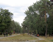 Новий скандал з Київзеленбудом: чому вирубають дерева на Лісовій