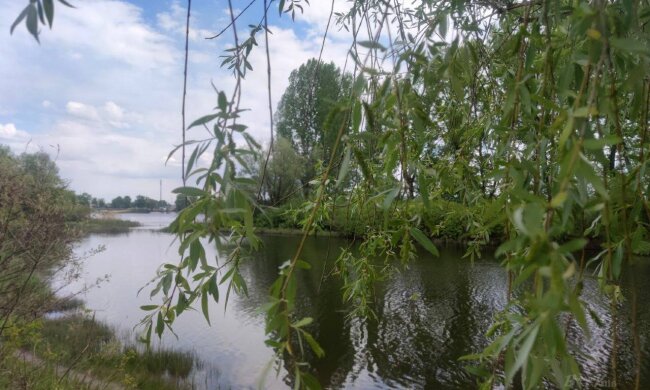 Символ дружби на Оболоні: Литва подарує Києву новий міст у парку на Прирічній