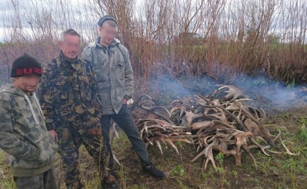 Сувеніри з Чорнобиля: із зони ЧАЕС намагались вивезти лосячі роги