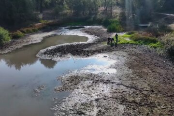 Розпочинається порятунок та відновлення озера Синє в Подільському районі Києва
