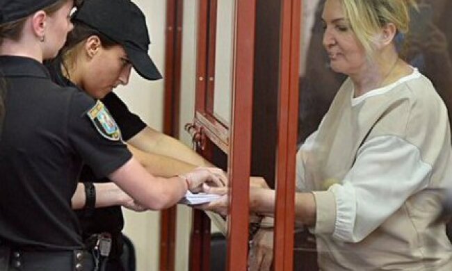 Новинський вніс за Богатирьову 6 млн грн застави