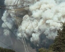 Катастрофа в зоні відчуження: понад 1100 гектарів Чорнобильського лісу охоплені вогнем, який важко приборкати через мінування
