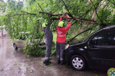 У Києві ліквідували наслідки негоди: рятувальники прибирали дерева з доріг та пошкоджених авто