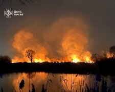 У Києві сталося загоряння травʼяного настилу та очерету біля озера Тягле — рятувальники наразі локалізовують пожежу