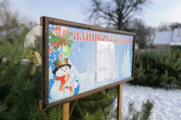 У столиці працюватимуть 97 законних ялинкових ярмарок (адреси)