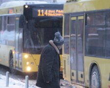 Трамваї «відпочивають»: Список маршрутів Києва, де завтра курсуватимуть лише автобуси