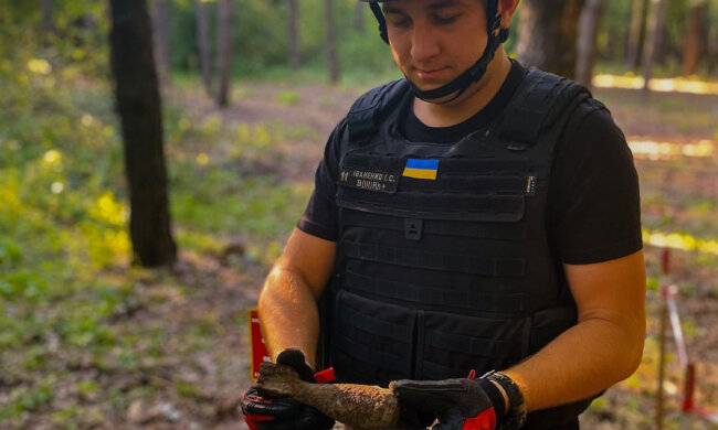У столичному лісі знешкодили мінометну міну часів Другої світової війни