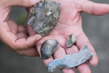 Під Києвом знайшли тисячолітні поселення давніх людей