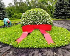 Столичний парк Рильського прикрасили яскравими фарбами квітів (фото)