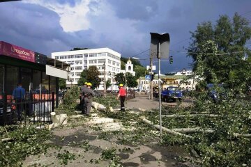 Наслідки негоди: по всьому Києву прибирають зламані гілки та дерева (фото)