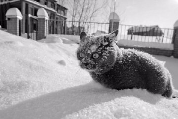 В Україні стане по-справжньому холодно