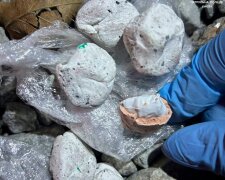 У Києві патрульні зупинили чоловіка, який розкладав камінчики з “сюрпризом”
