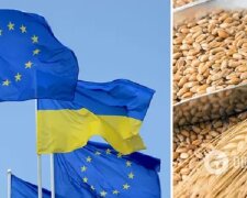 В ЄС вимагають від Польщі, Угорщини та інших країн скасувати заборону на імпорт зерна з України