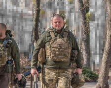 Залужний: ворога потрібно знищити, не маємо права перекласти цю війну на наших дітей