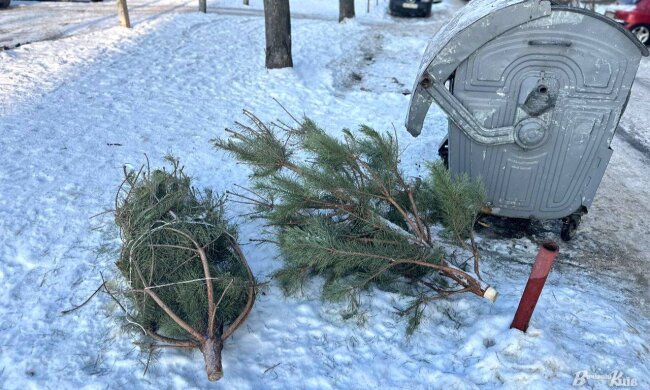 Екологічна утилізація: у столиці розпочали роботу понад 70 пунктів прийому новорічних дерев