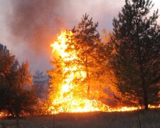 Пожежі на Луганщині і Харківщині: окупанти навмисно підпалили суху траву (відео)