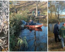 На найбільшому озері Києва у Деснянському районі виявлено загибель риби
