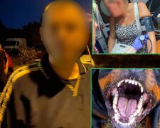 У Києві неадекватний собачник нацькував агресивну собаку на перехожу через сварку