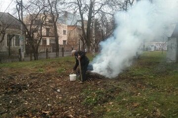 Палії листя отруюють людей та знищують довкілля