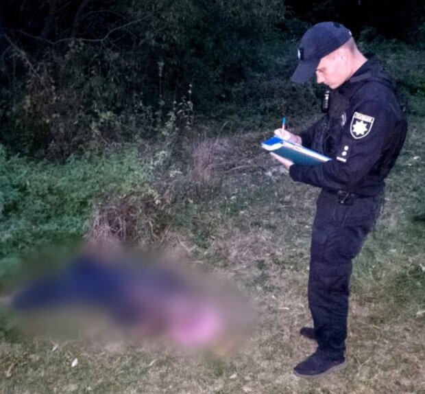 На Київщині виявили тіло чоловіка, що загинув від укусів шершнів