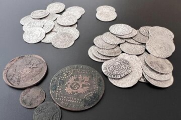 У столиці завадили вивезенню старовинних монет 1492-1817 років карбування