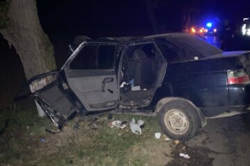 У Київській області автомобіль влетів у дерево: загинув капітан поліції