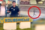 На вбитій жінці під Києвом виявили 21 ножове поранення - на Київщині орудує маніяк?
