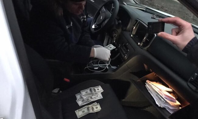 Інспектора з охорони навколишнього середовища Київщини затримано на хабарі