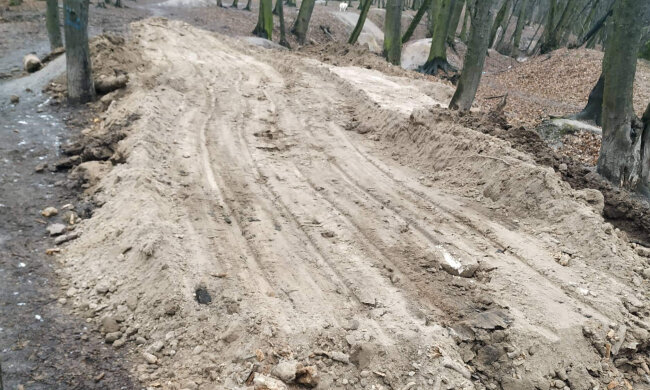 Комунальники знищують стихійну велотрасу у Голосіївському лісі (фото)
