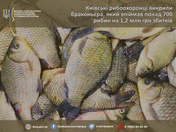 В області викрили бракон'єра, який наловив понад 700 рибин та завдав шкоди на понад ₴1,2 млн