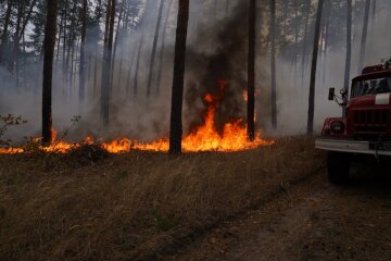 Військові оприлюднили відео ймовірного підпалу бойовиками трави на Луганщині