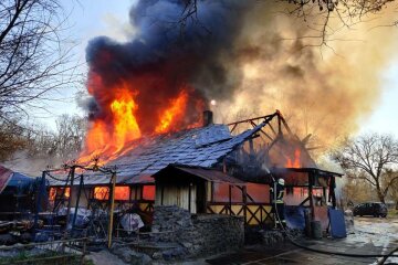 В Гідропарку вщент згорів Очеретяний кіт