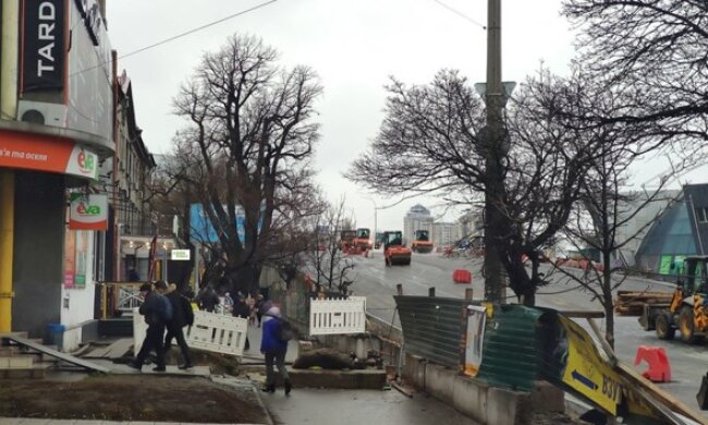 Дуб чи міст: кияни стурбовані долею дерева-пам’ятки на Шулявці