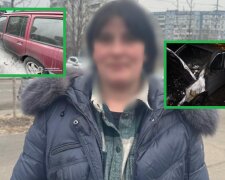 Нетвереза дама, яка підпалювала авто в Києві "для розваги", отримала тюремний строк