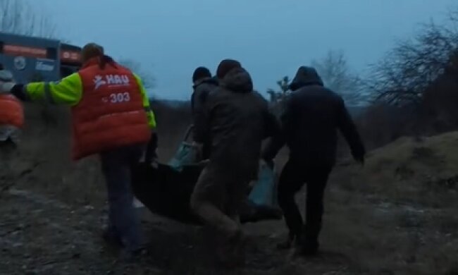 У Київській області від вибуху міни загинув лось