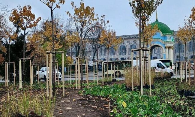 На Контрактовій площі завершили оновлення зеленої зони