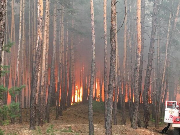 Після навчань на військовому полігоні на Харківщині запалали ліси