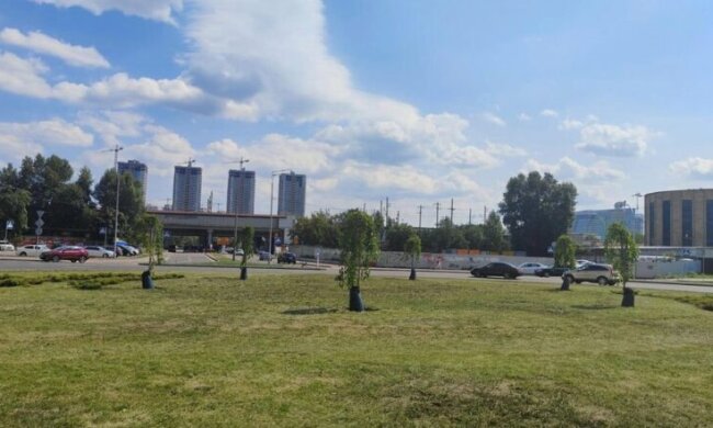 Уперше в столиці застосували іноваційний спосіб для поливу дерев