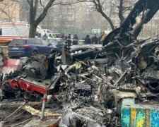 Слідство назвало причини авіакатастрофи з керівництвом МВС у Броварах