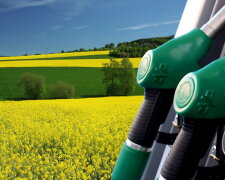 Україна може стати провідним виробником біодизелю: що для цього потрібно
