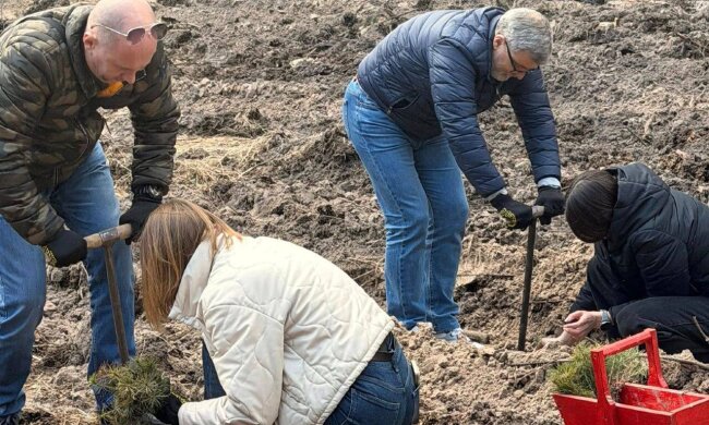 Нове життя лісу: у Дарницькому лісництві висадили тисячі дерев на місці прильоту