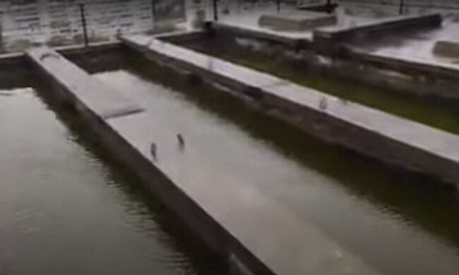 У Києві після зливи дах багатоповерхівки перетворився на басейн, вода стікає в квартири (відео)