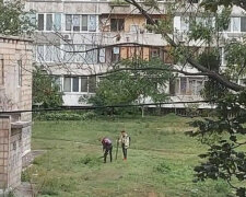 У Києві на Дніпровській набережній школярі вбили голуба (відео)